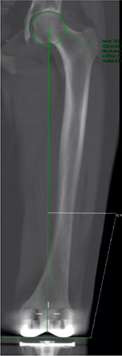 Click to Enlarge View Figure 2