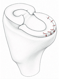 Figure 8